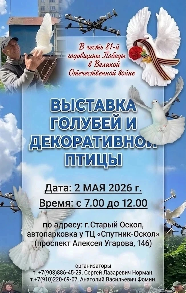 Для размещения в родительских чатах