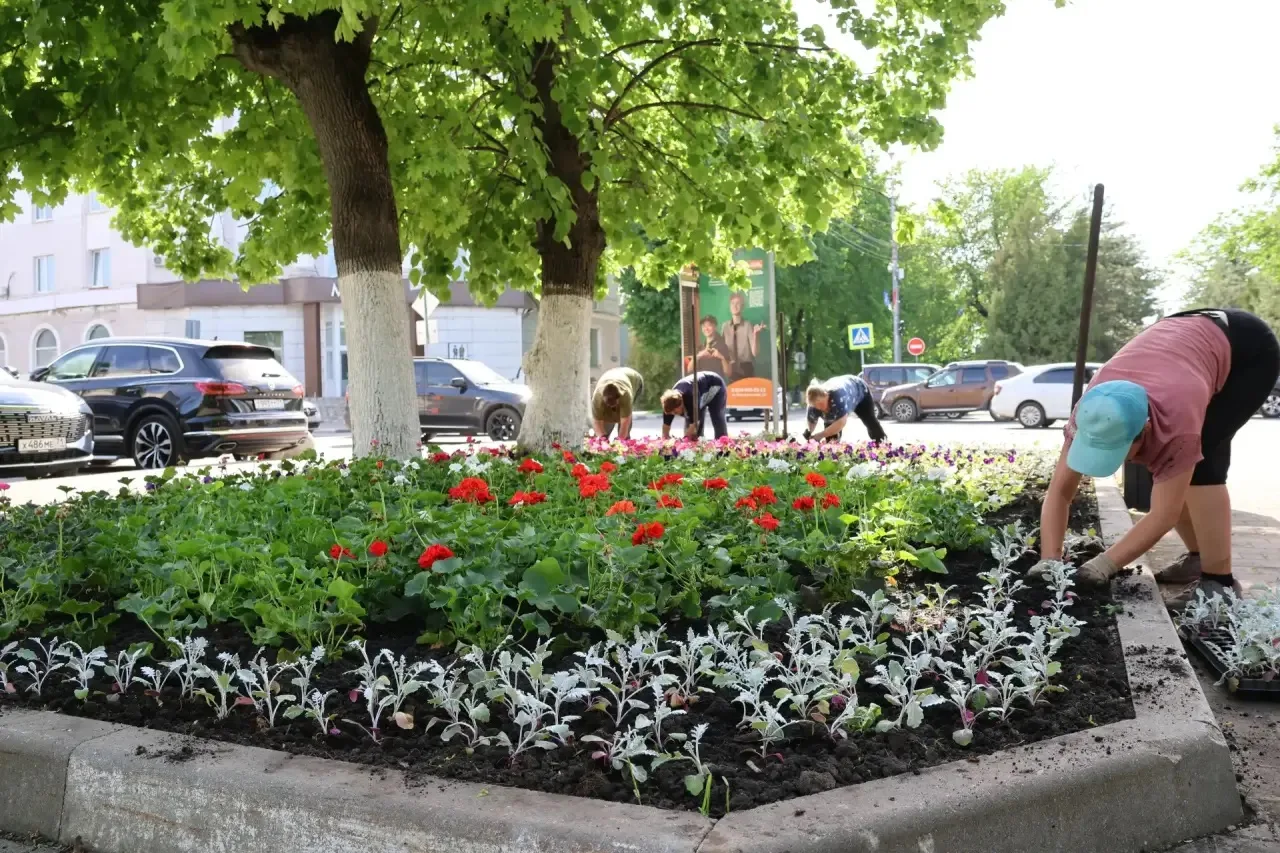 Живое украшение города  Сотрудники «Районного благоустройства» приступили к высадке цветов на городс