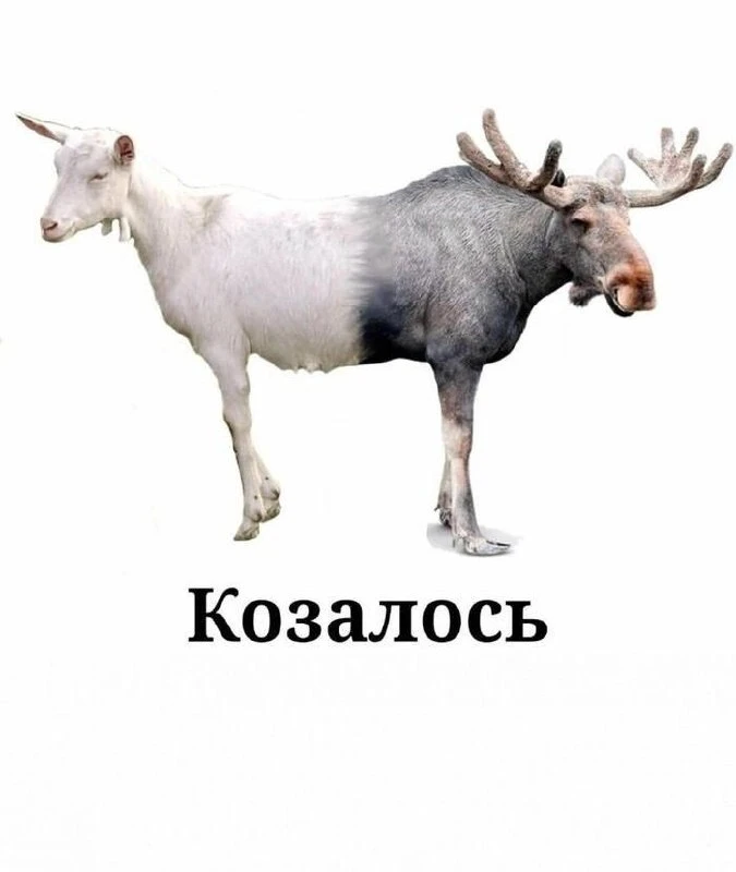 Изображение 1 к публикации «Записки алкоголика»
