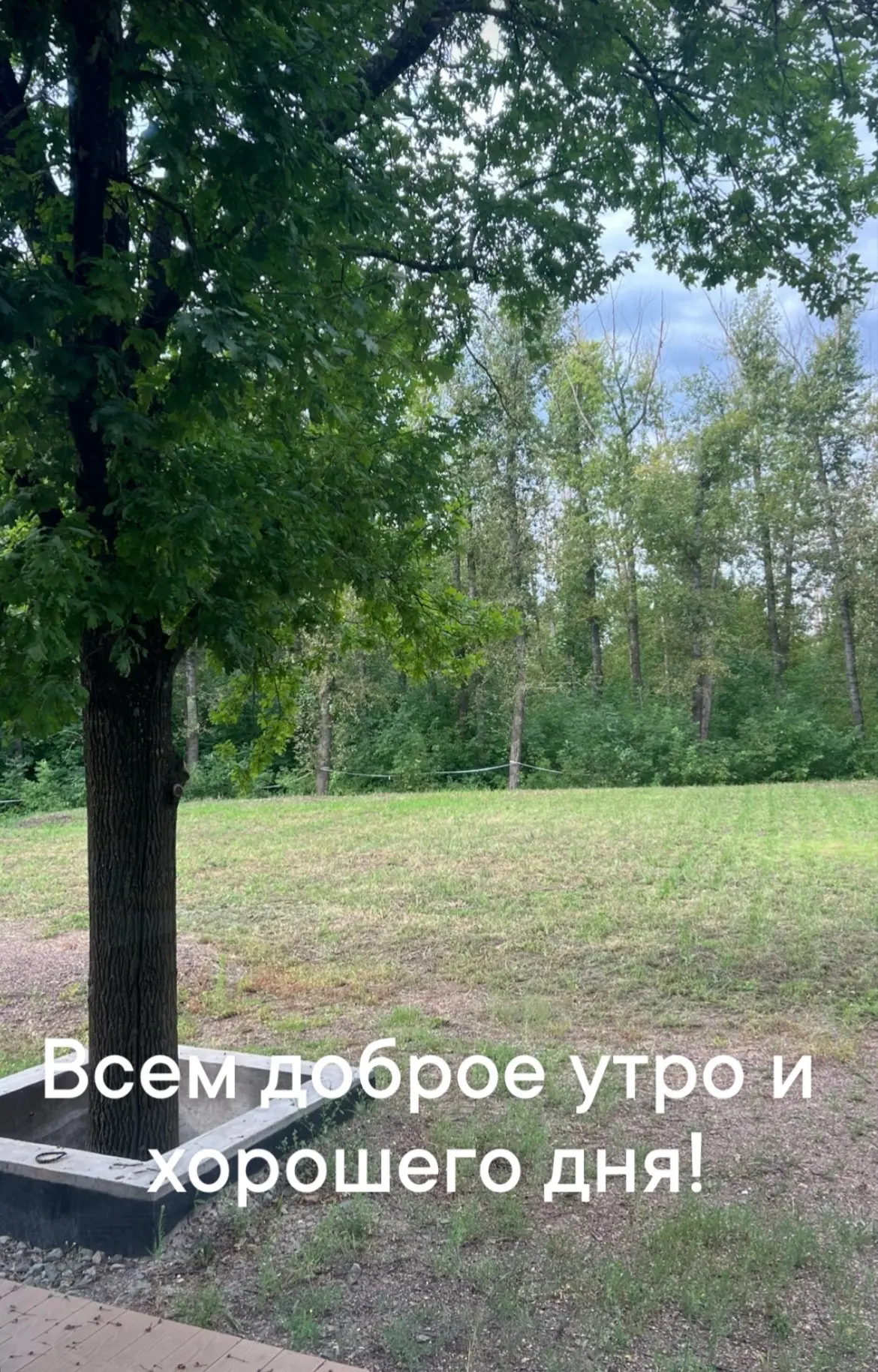 У меня в планах на сегодня тренировки, съемки и дела девочек.

У девочек сегодня самостоятельное чте