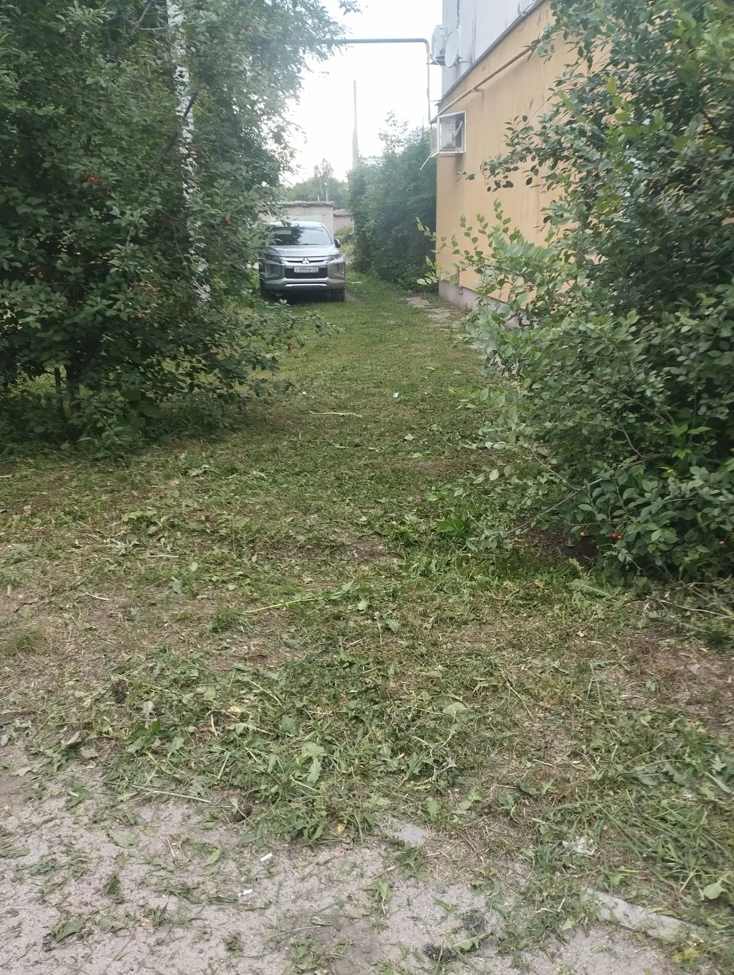 21.06.2026 Плановый покос травы по адресу: ул.Таганрогская, д.38