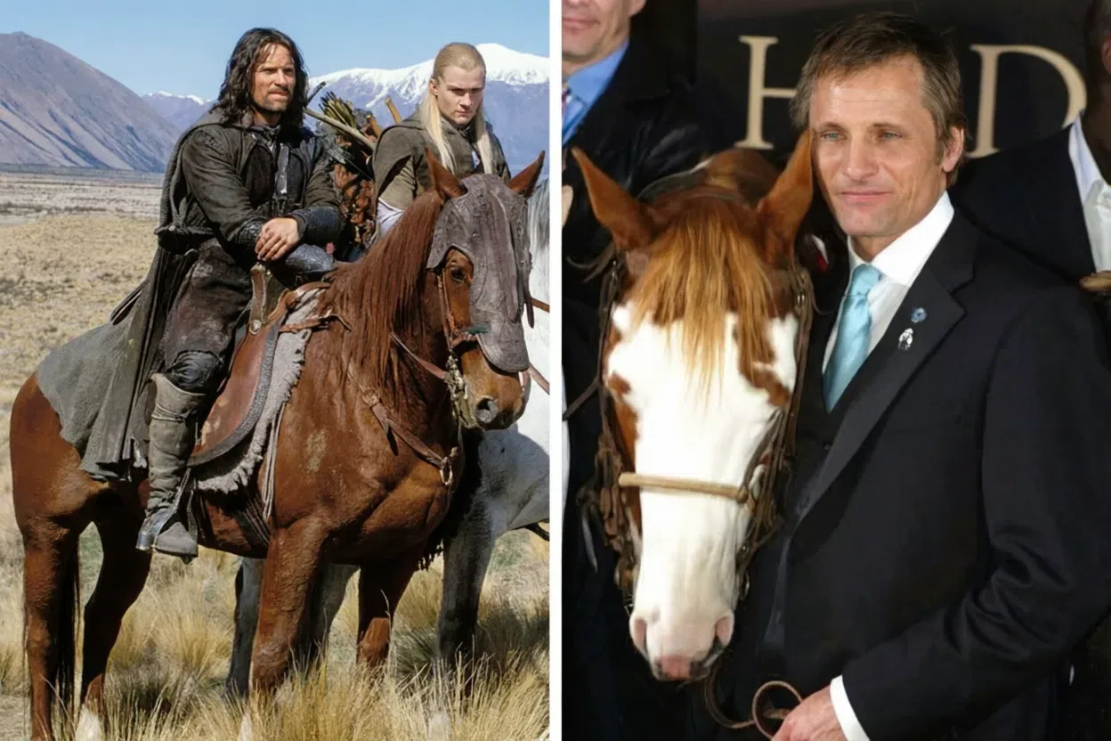 🐎 Истории, которые остаются за кадром