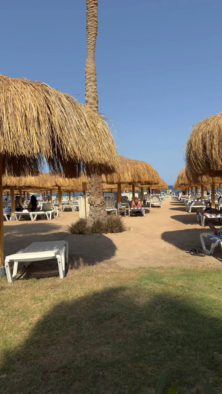 🏖️ Альтернатива Rixos в Египте: семейный отдых на первой линии с отличной инфраструктурой