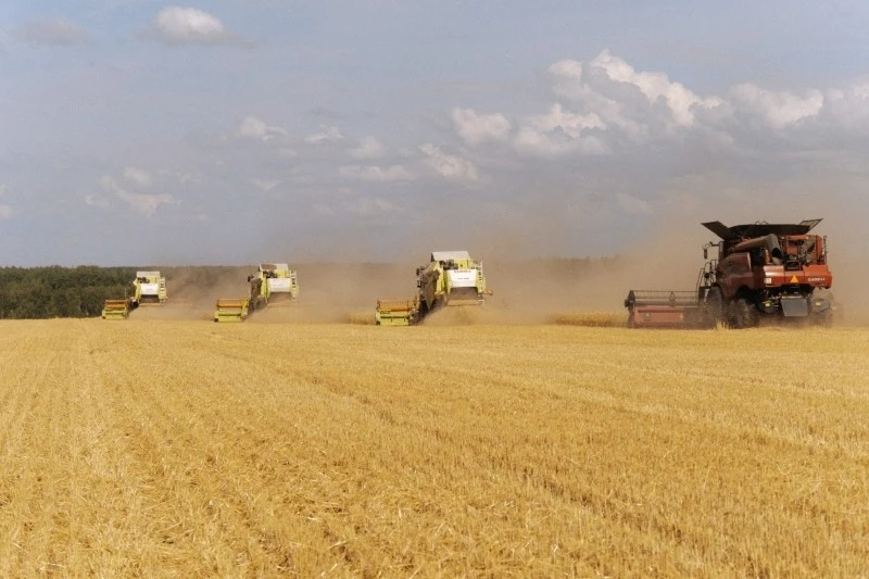На полях Тамбовской области собрали 3,6 млн тонн зерна🌾