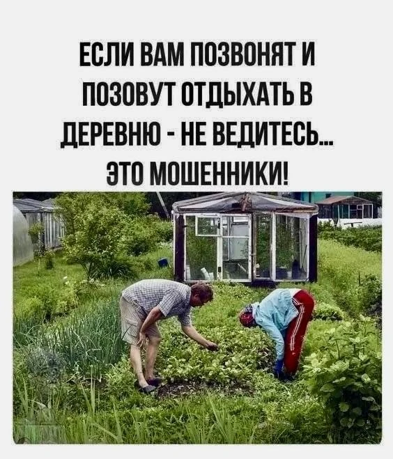 Веснушка Юмор