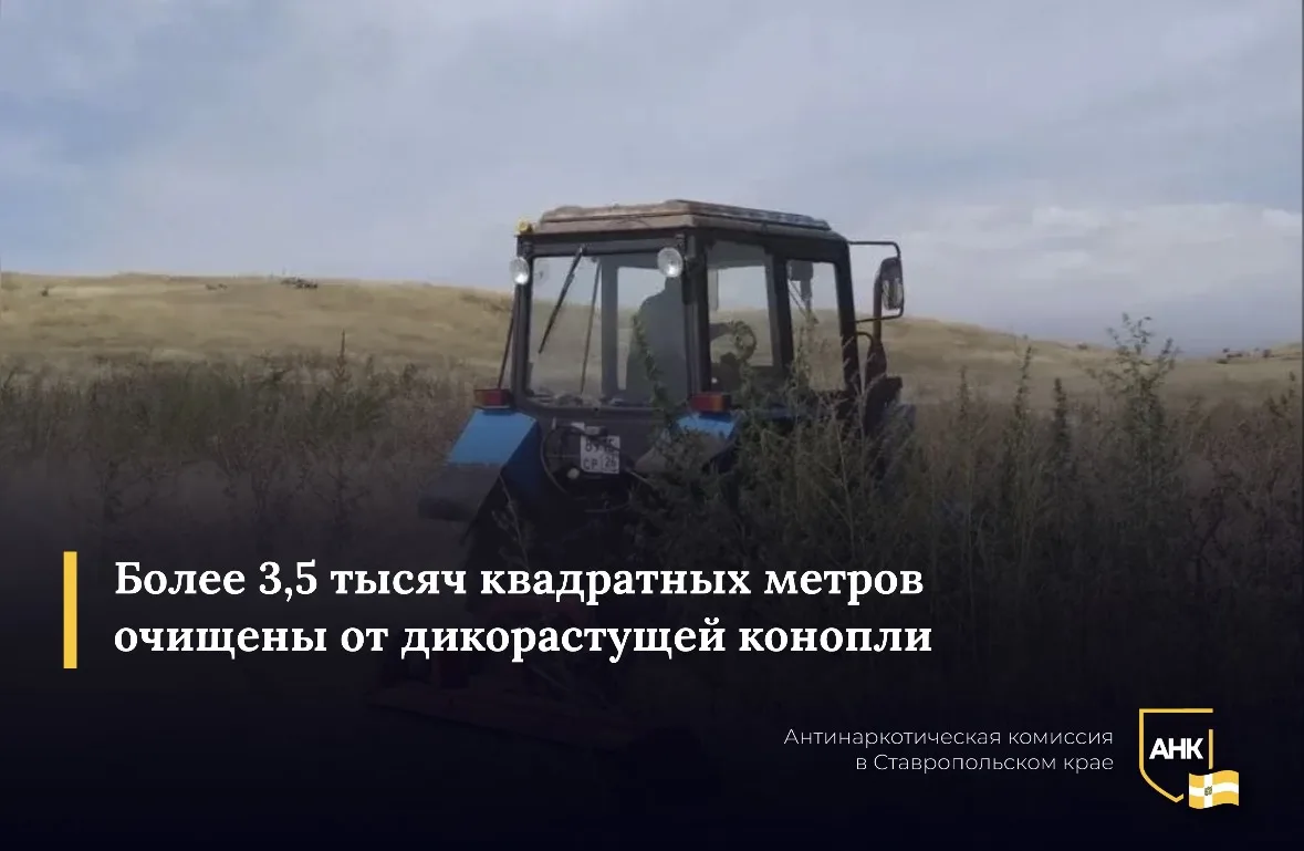 В Александровском округе в ходе третьего этапа межведомственной операции «Мак-2026» выя...