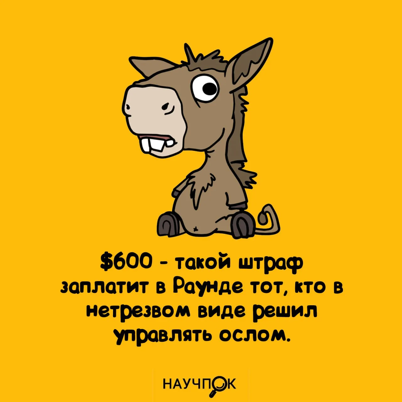 Научпок | Подписаться
