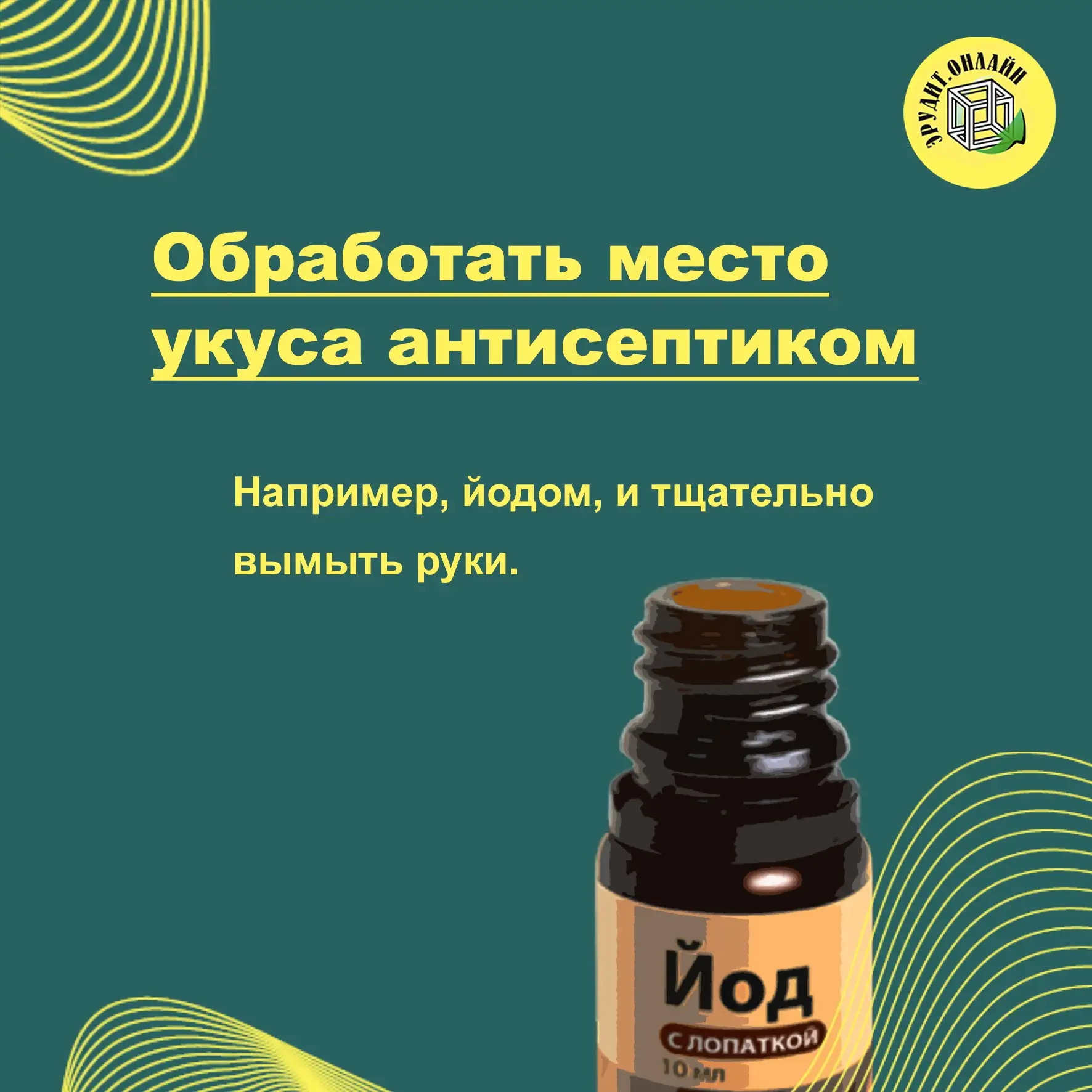 Памятка «Что делать при укусе клеща?»