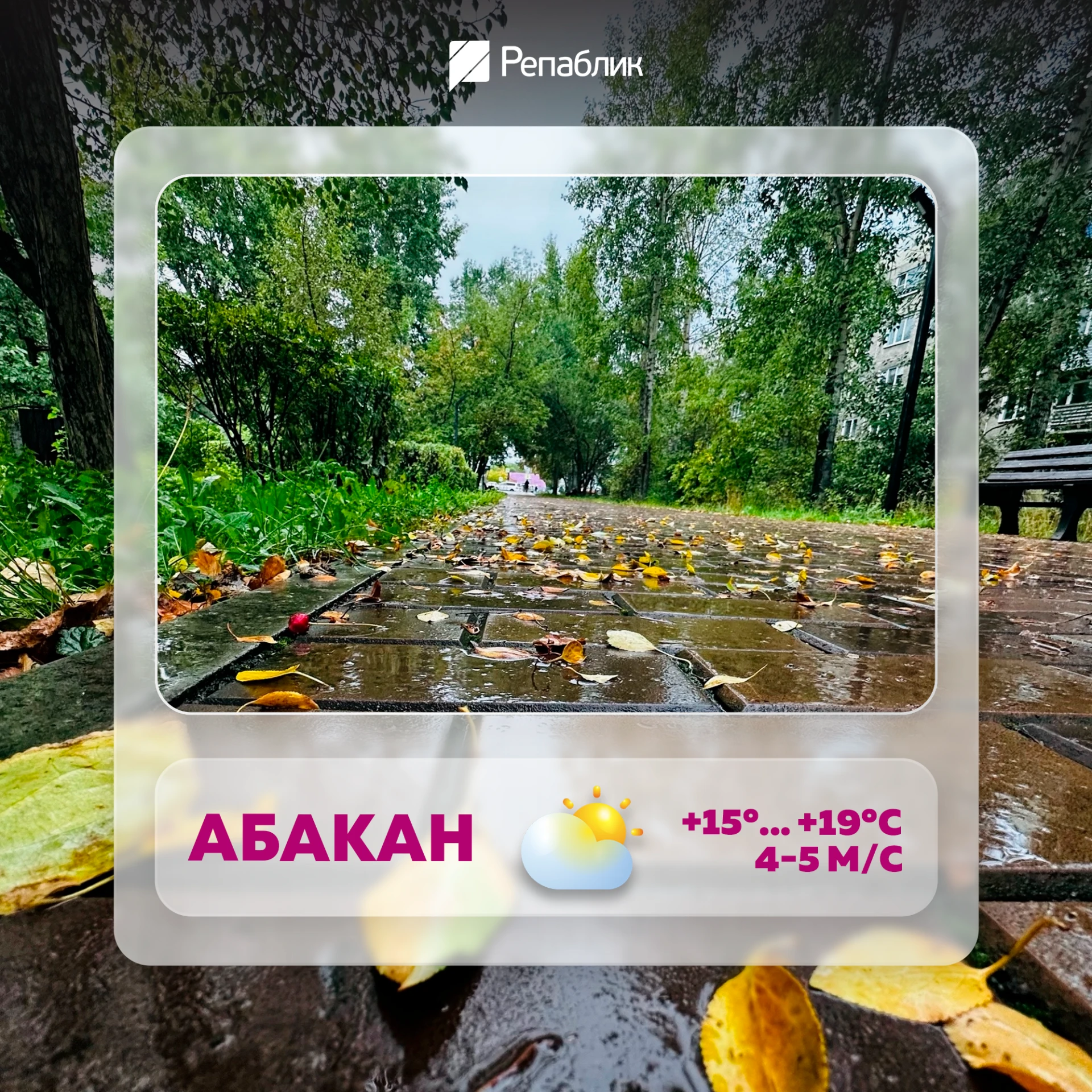 Сегодня без дождя и около +19 🍂