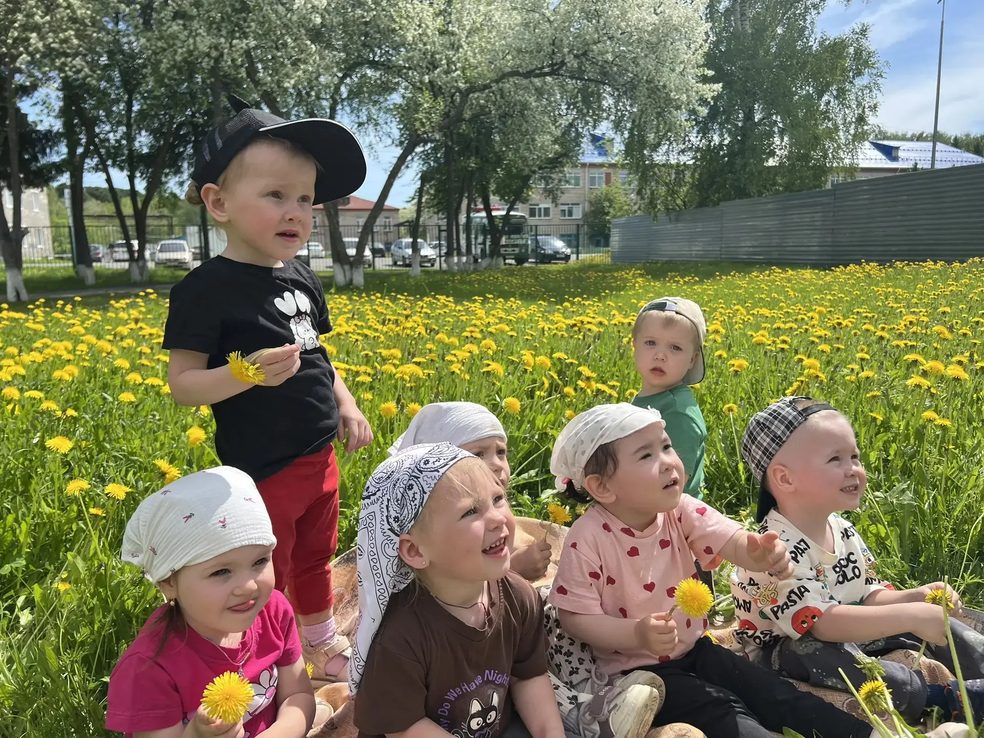 Одуванчики знают, где их любят! 🌼
Наш детский сад превратился в заповедник одуванчиков. В то время 