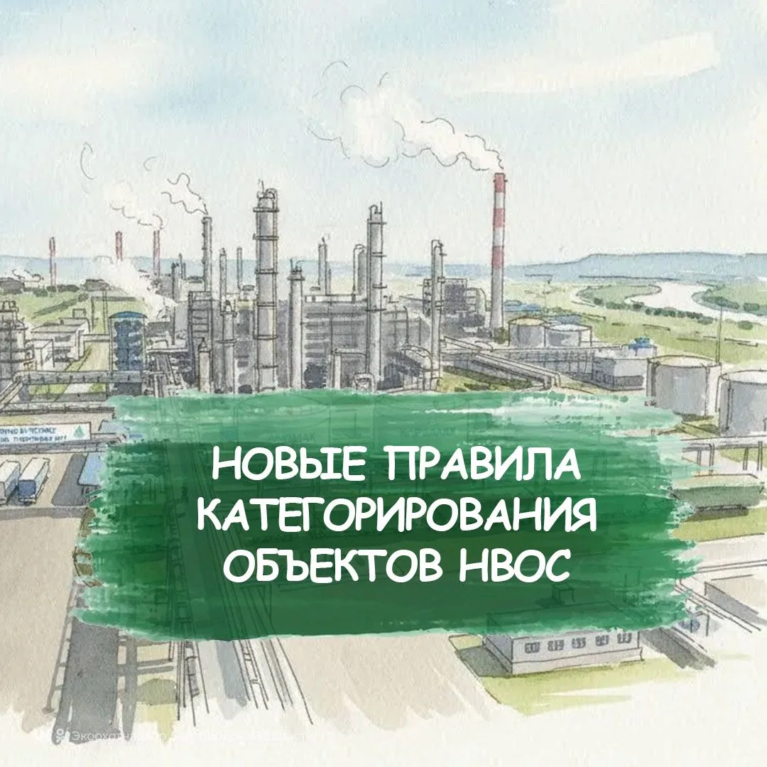 С 1 сентября вступили в силу новые критерии НВОС: что важно знать природопользователям?