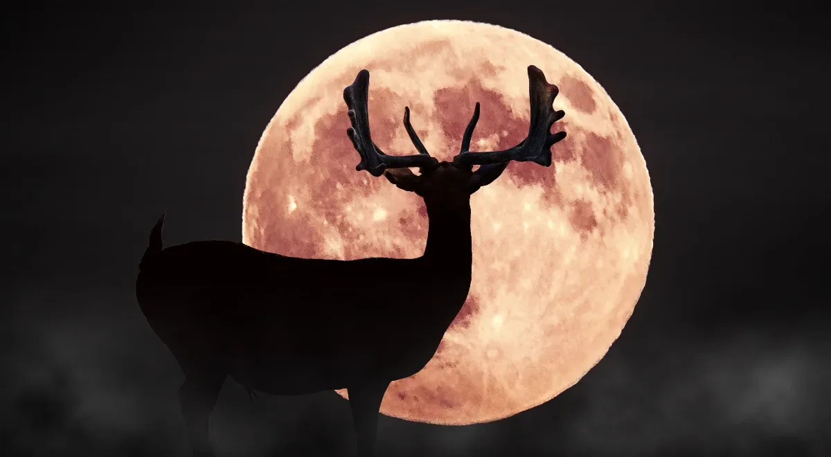 «Оленья Луна» взойдет над Ульяновской областью сегодня ночью🌕

Название пришло из наблюдений охотни