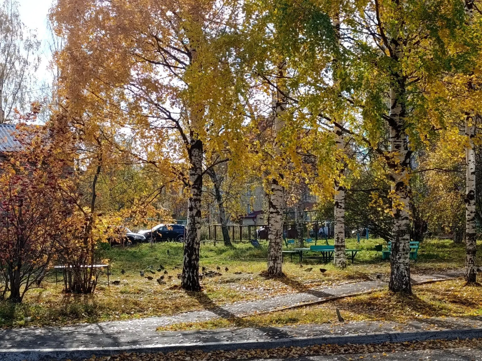 15 сентября в Архангельской области ожидается дождь