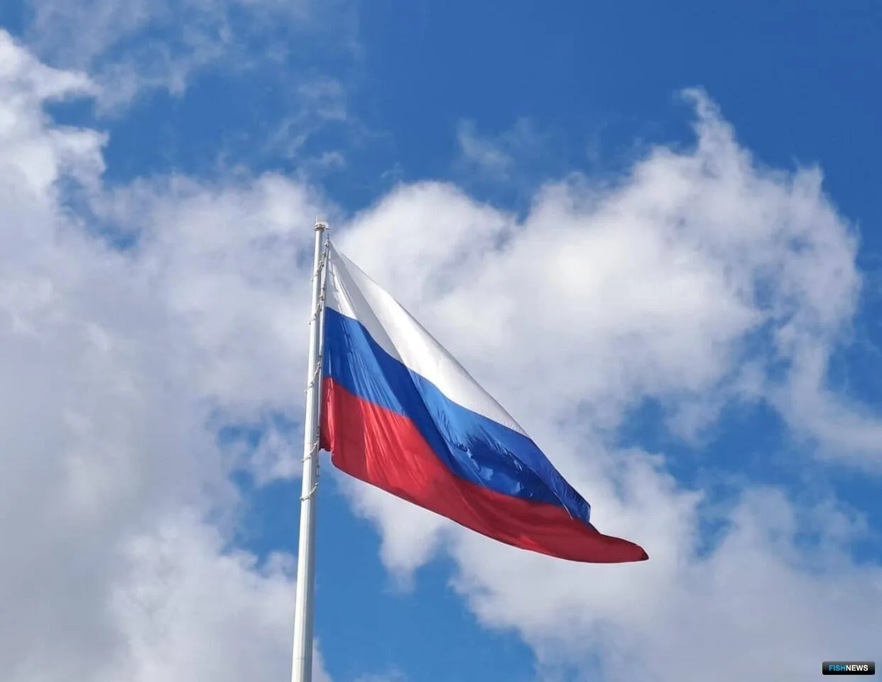 Минтранс предложил создать Морскую администрацию РФ