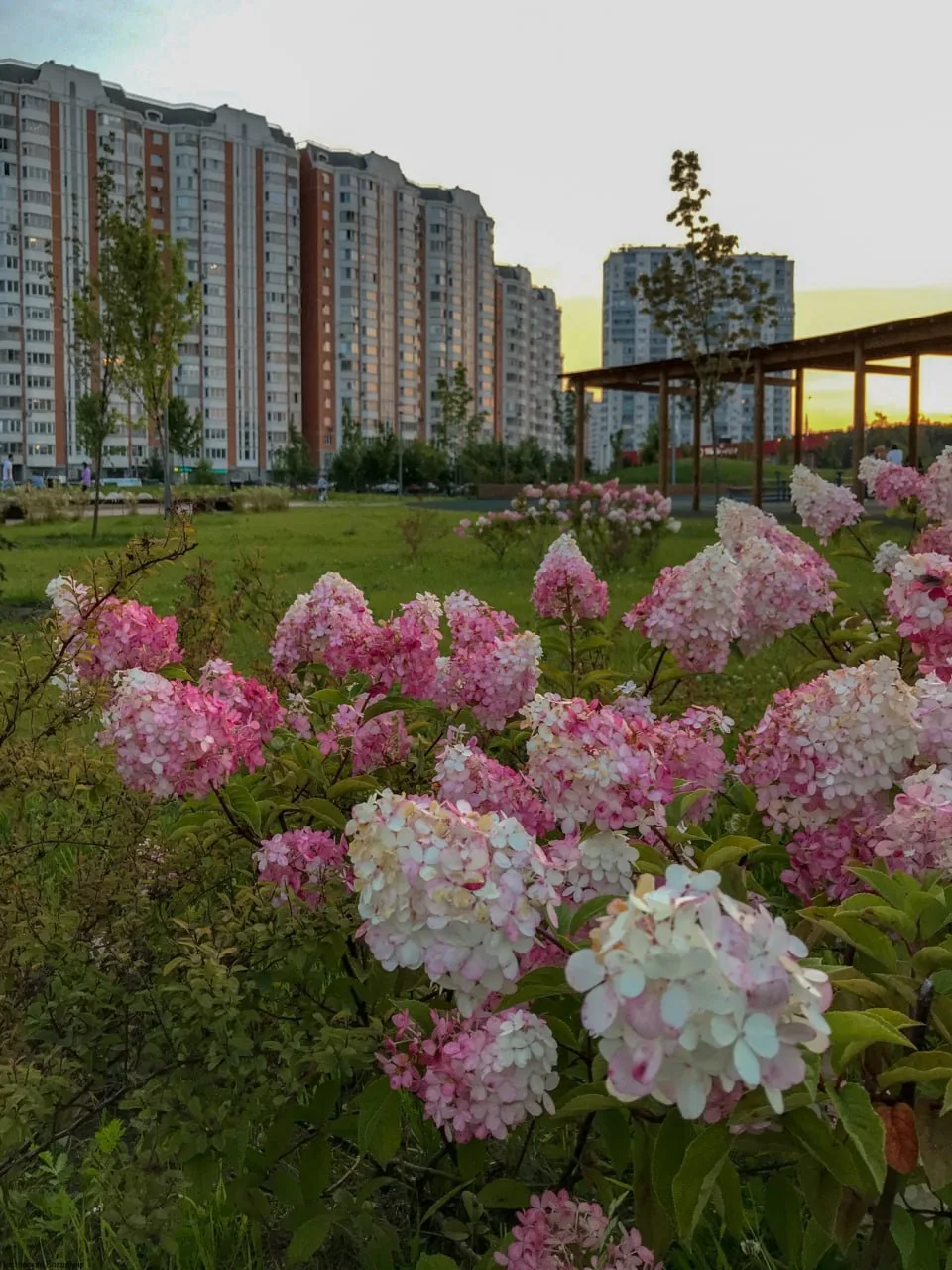 Закаты в Косино можно вечно наблюдать, фотографировать... А затем пересматривать снова ...