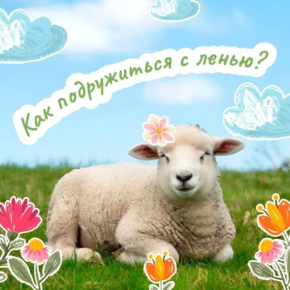 ‼️Лень — это не враг, а личный тренер по экономии сил 😴