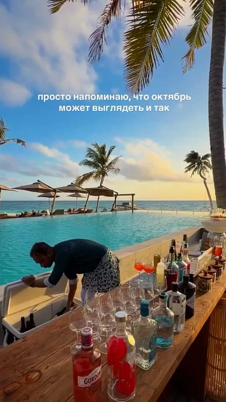 Видео: https://vk.ru/clip-59717399_456240990