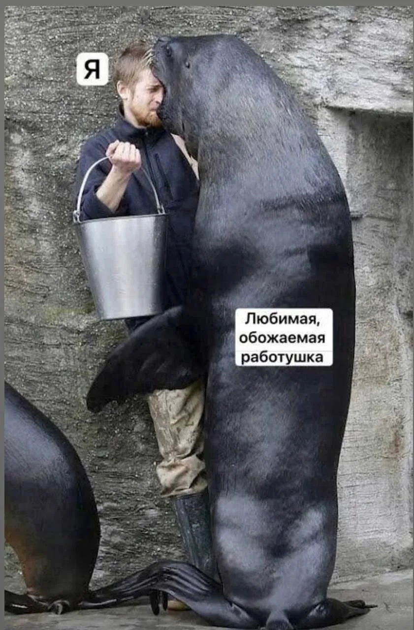 Отдыхаете? 😉
Расскажите, как там🌹💃🥂
Я с утра в работе 👩‍💻