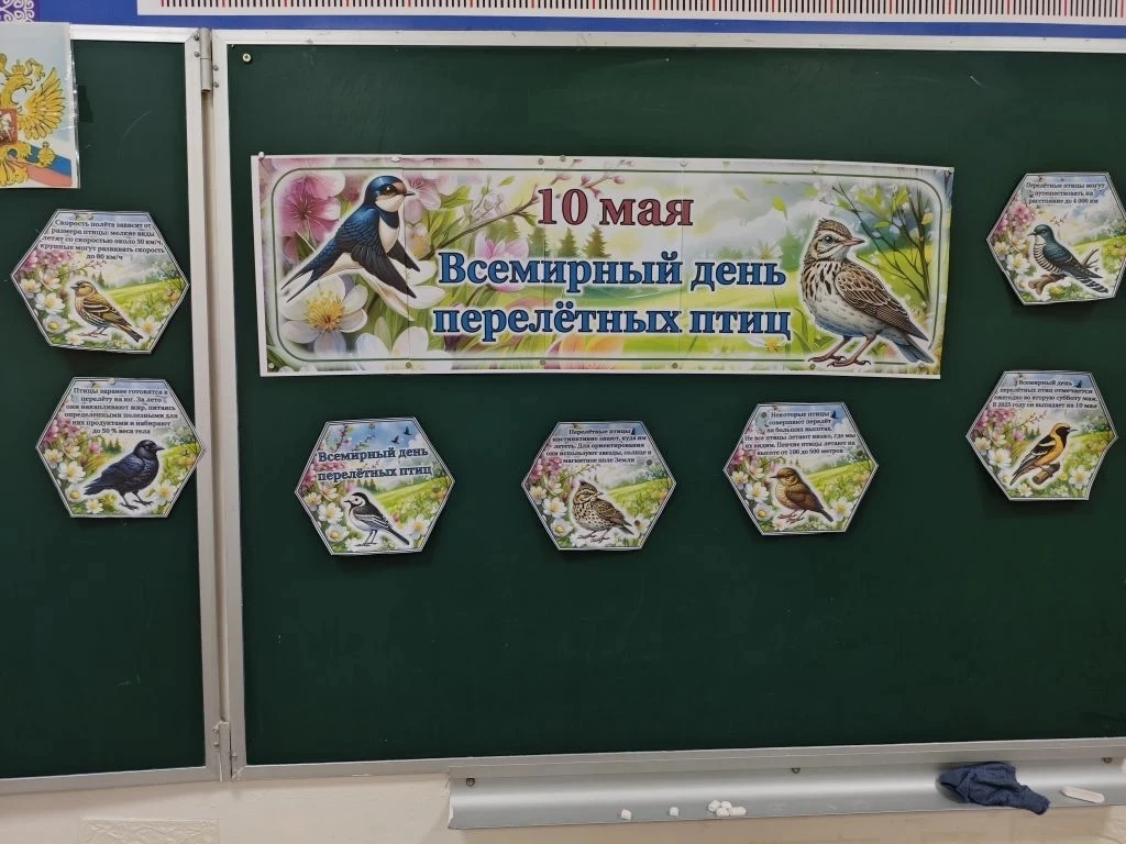 ДЕНЬ ПЕРЕЛЁТНЫХ ПТИЦ