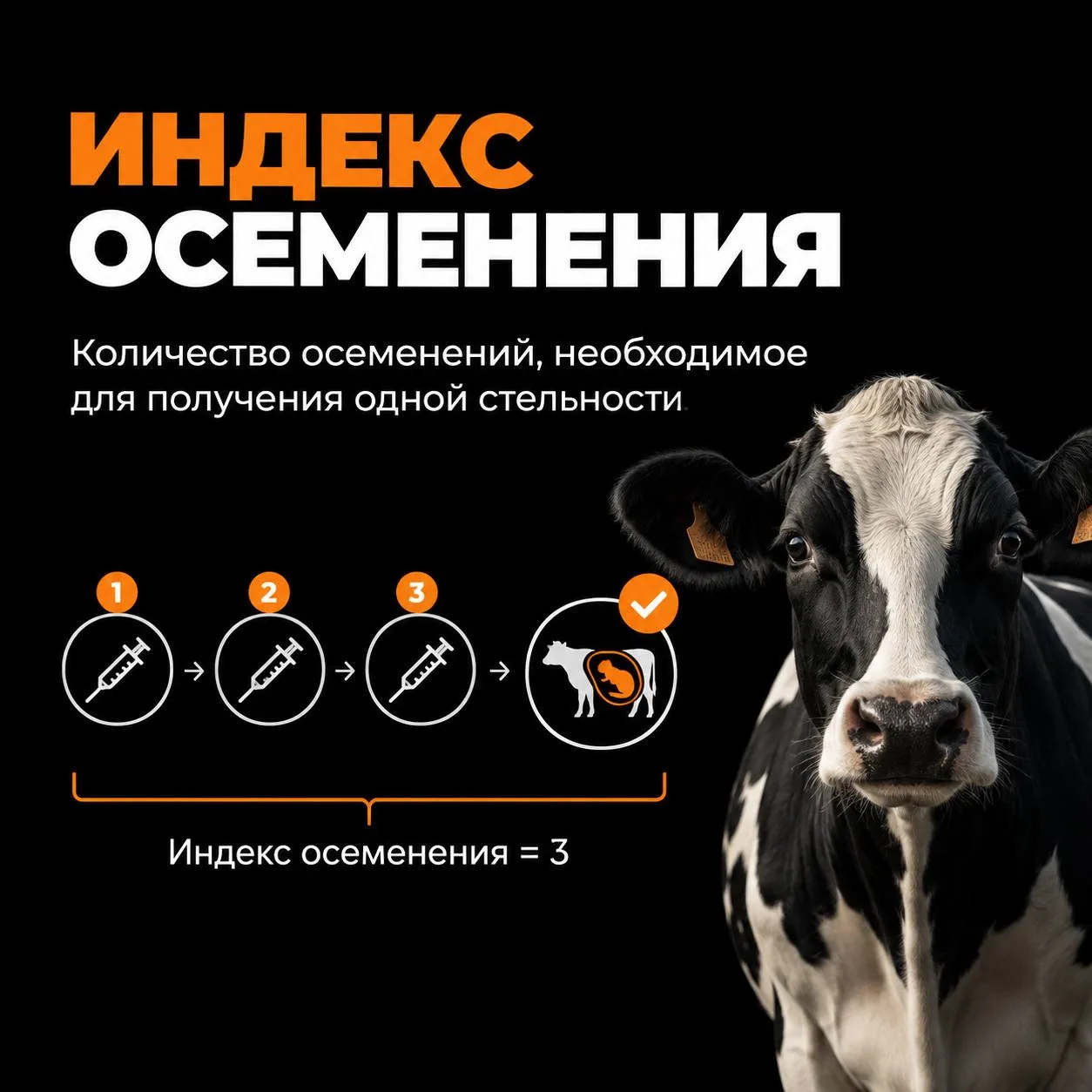 СЛОВАРЬ ДЭЙРИ-НЬЮС.ру