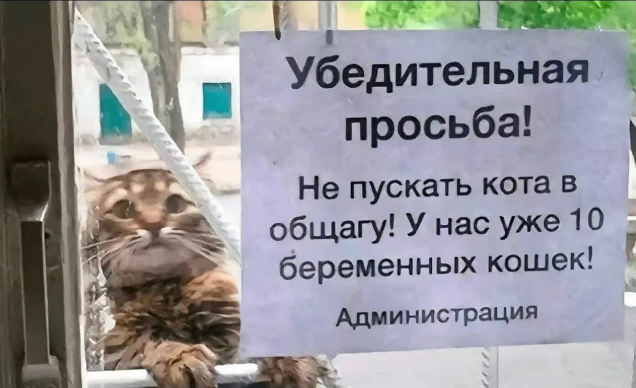 #Юмор
