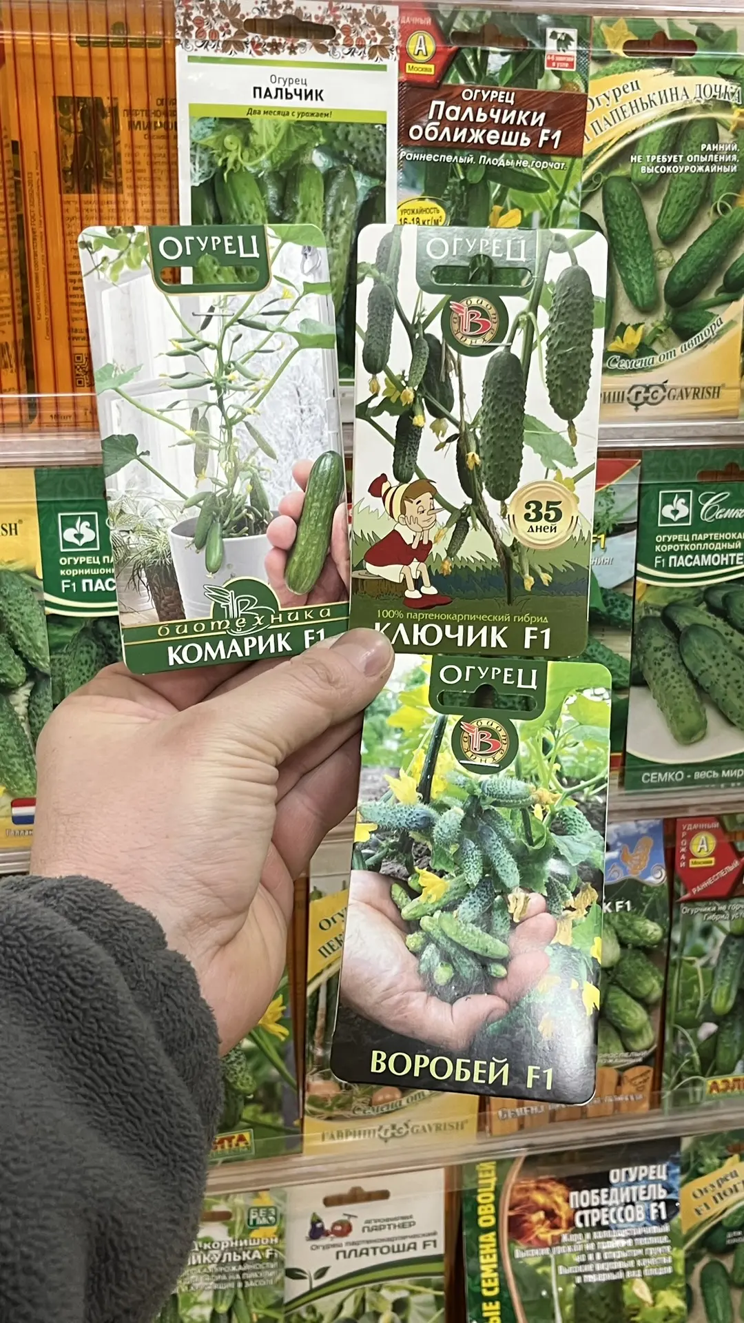 Огурцы 2026 – какие посажу обязательно и какие больше никогда.  #консультантсадовода  Огурцы – сравн