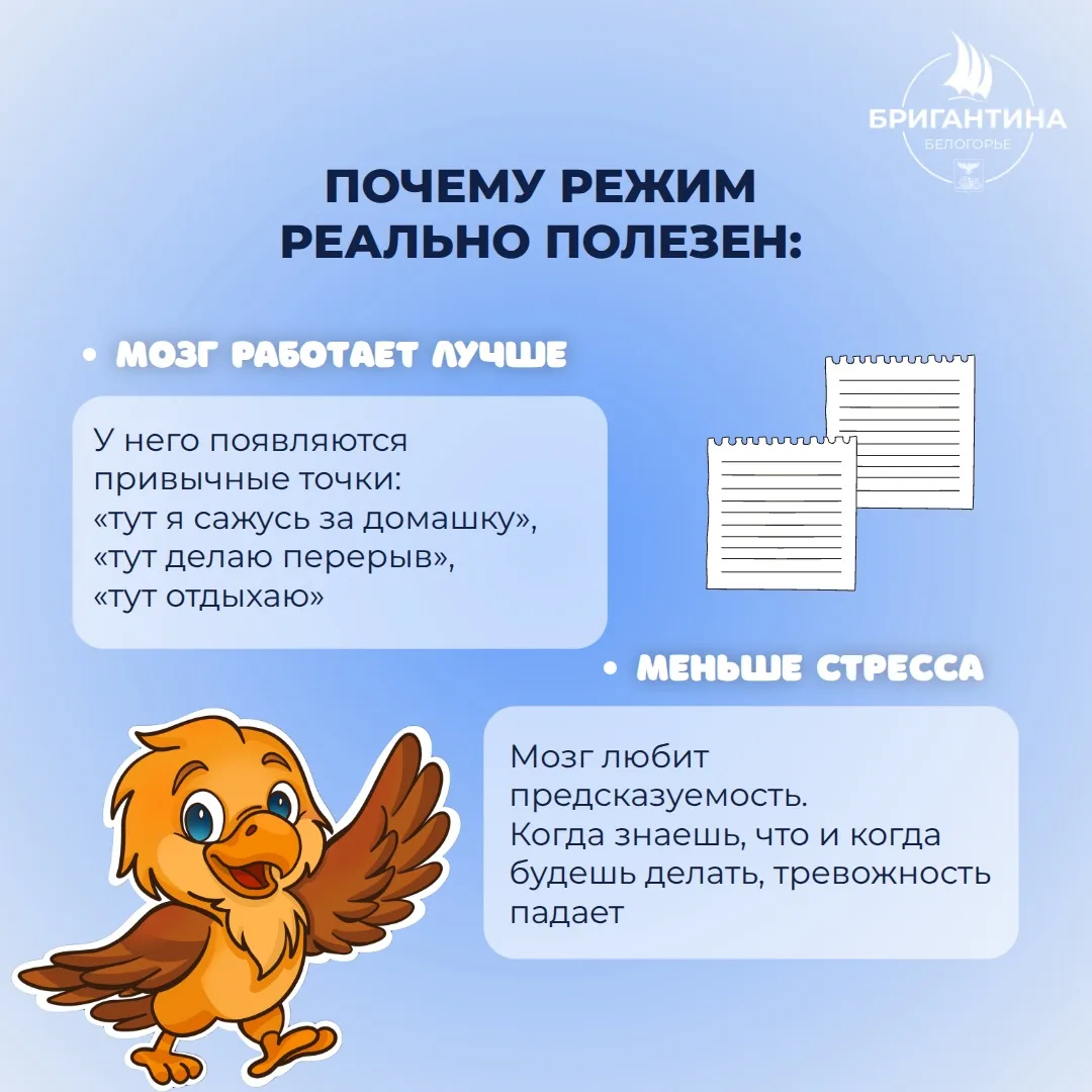 Как настроить режим дня?