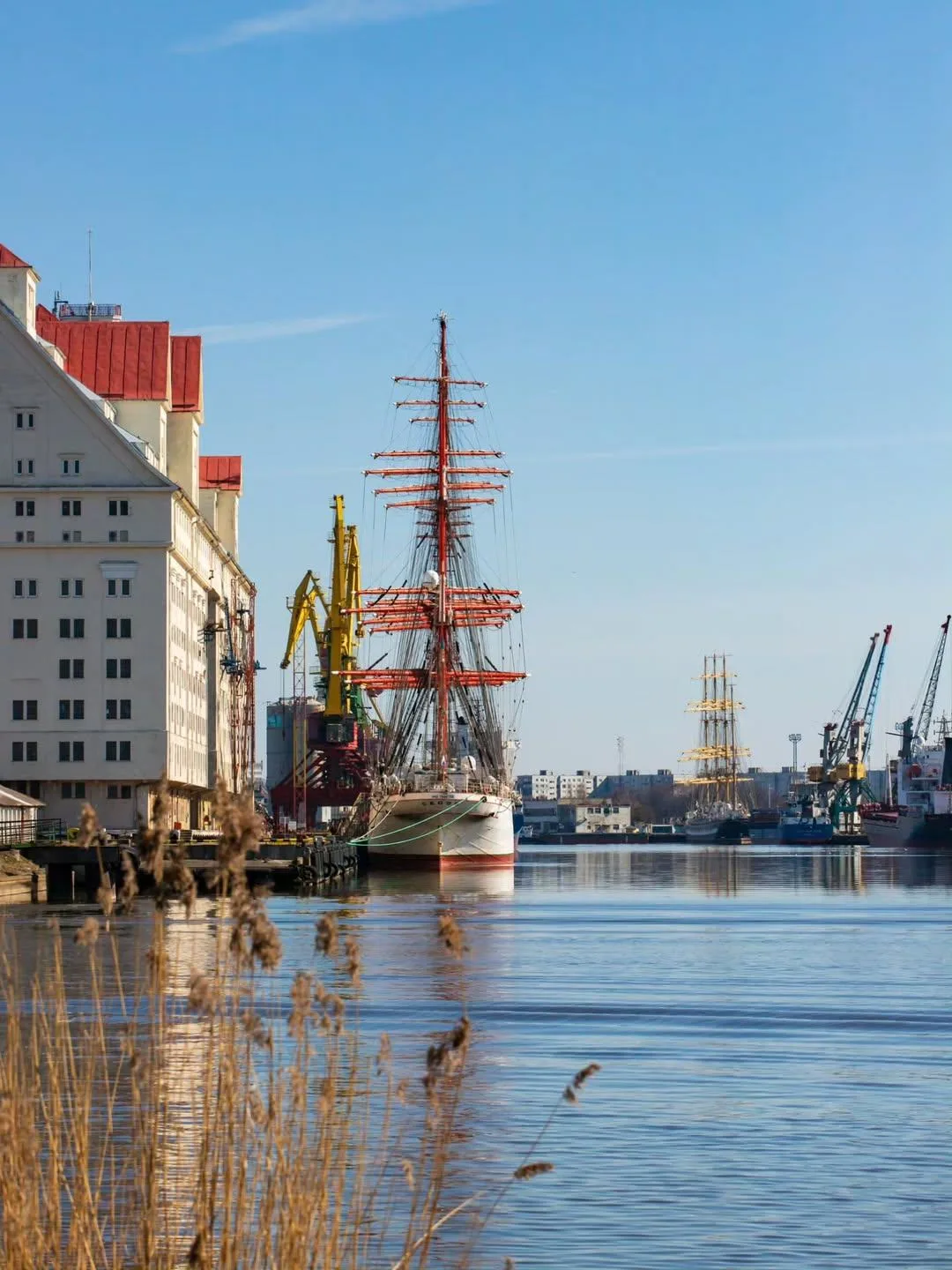⚓️В Калининградском порту сейчас можно увидеть сразу два крупнейших в мире (*из действу...