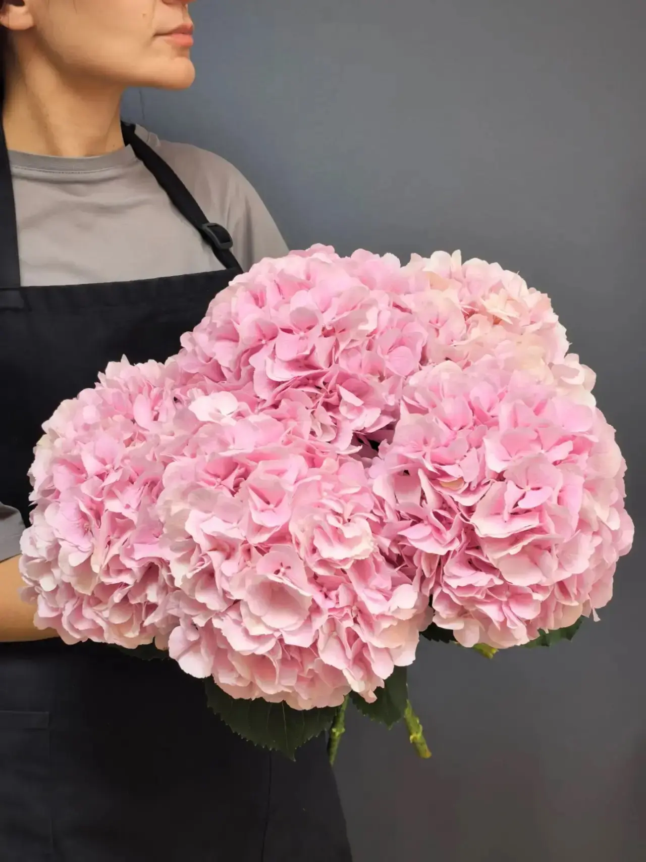 Свежее поступление гортензии 🌸