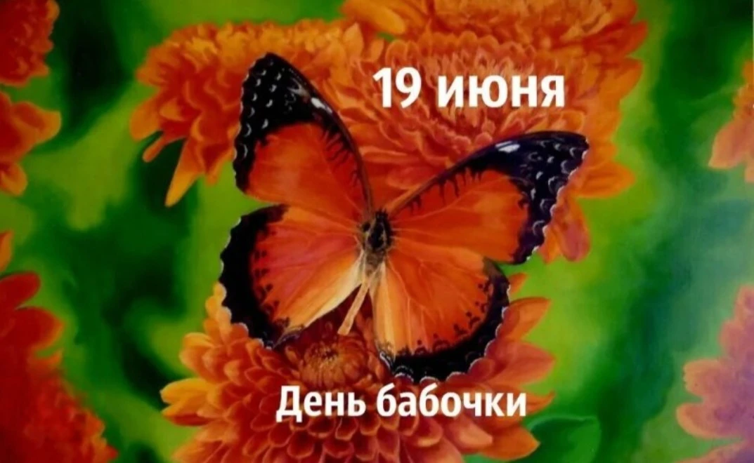 Интересные факты

🦋Продолжительность жизни: В среднем бабочка живет от 2 до 3 недель, но некоторые 