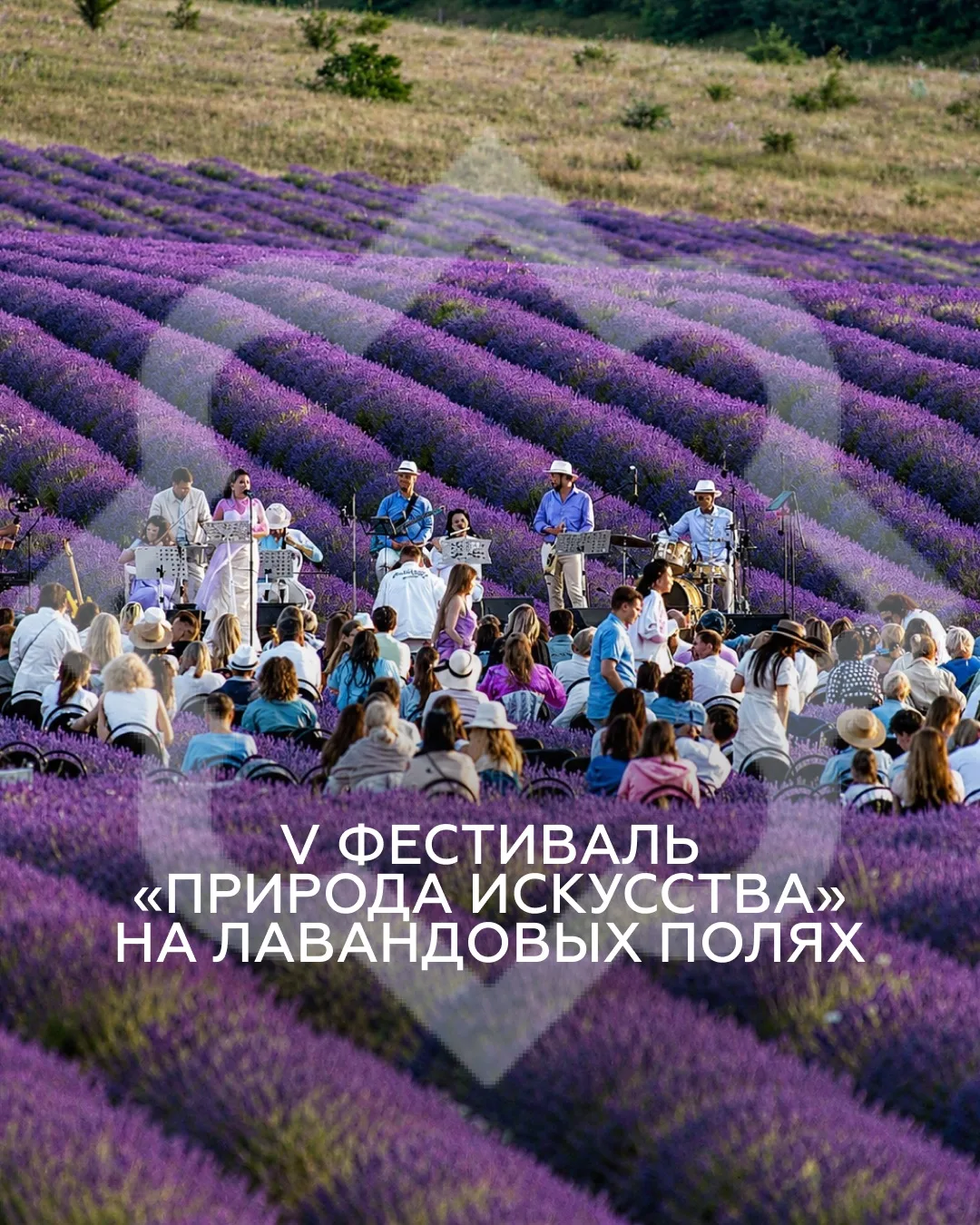 Дорогие наши гости и друзья, хотим рекомендовать вам уникальное событие этого лета — фестиваль «Прир