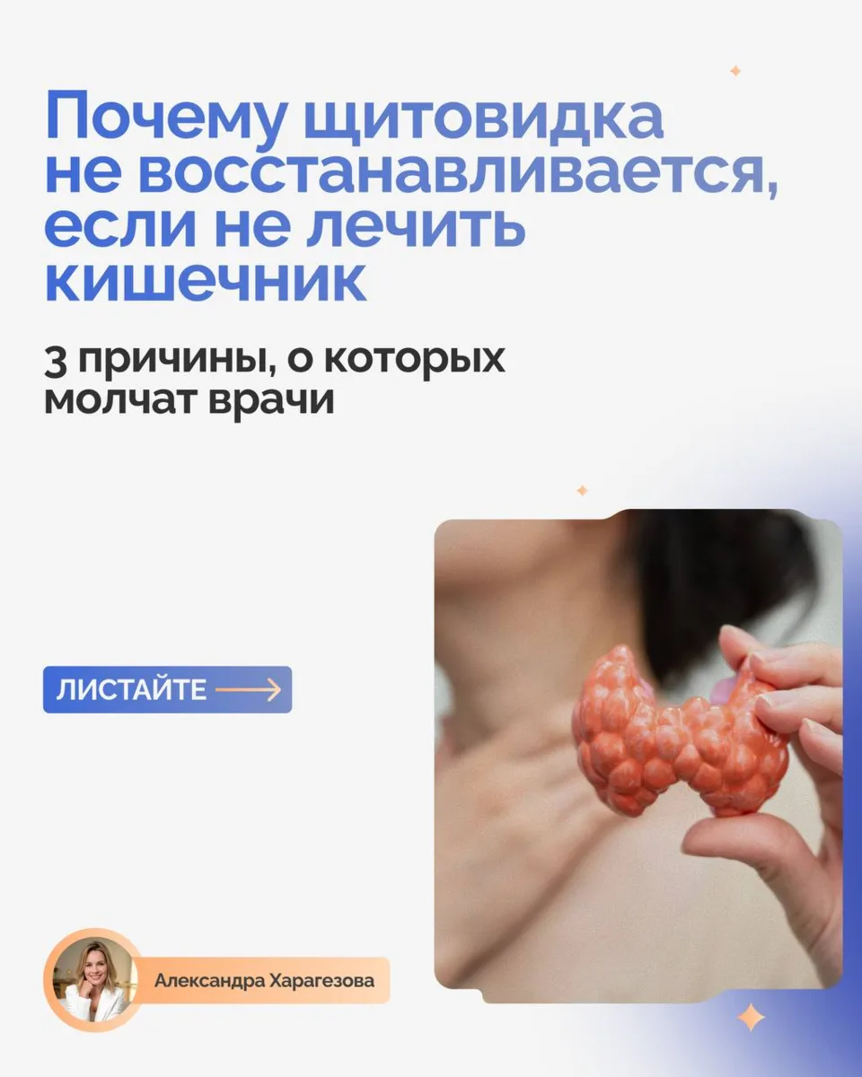 Почему щитовидная железа не восстанавливается, если не лечить кишечник 🤩

Друзья, здравствуйте! Д