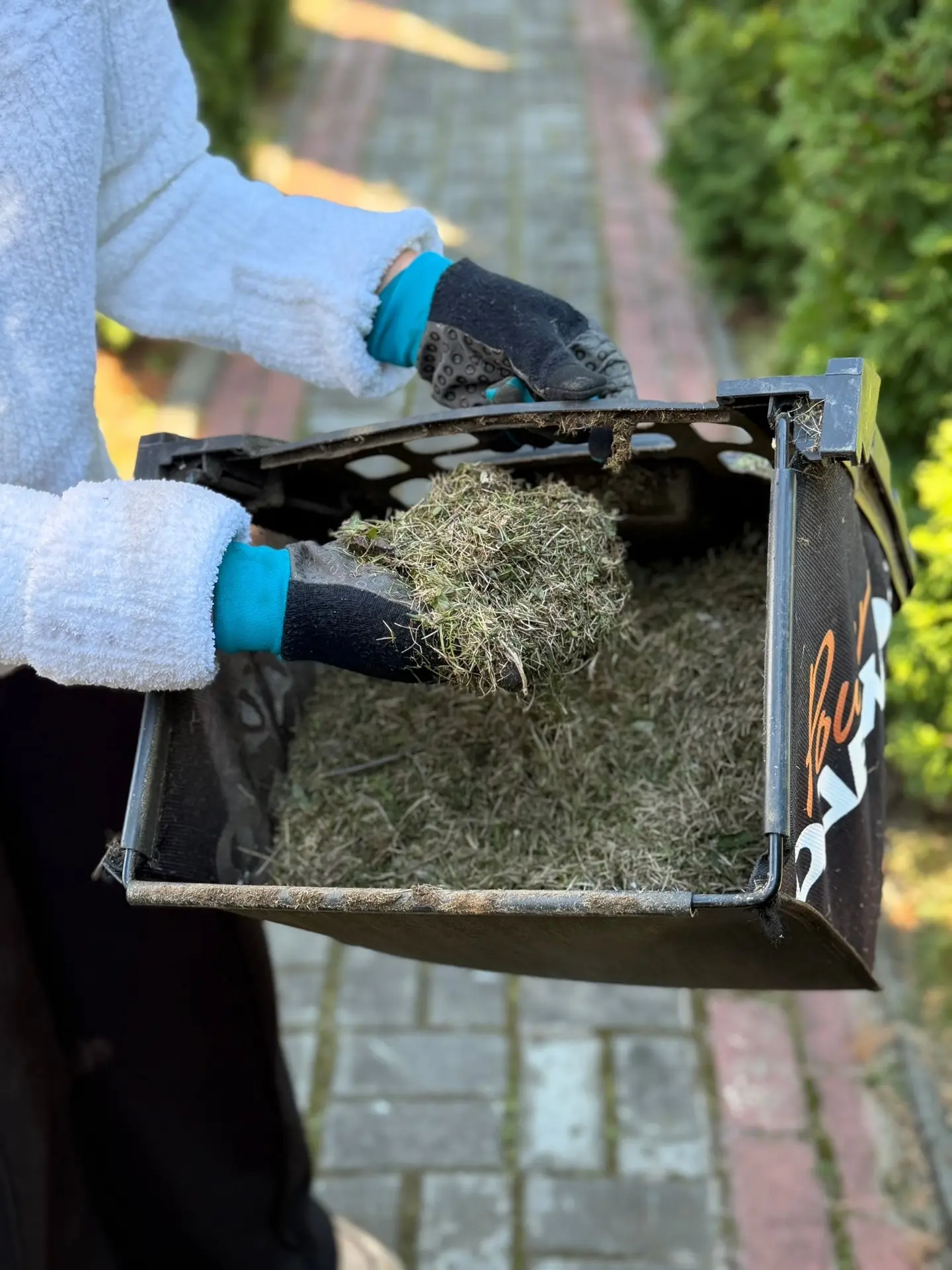 Обещала вам рассказать про скарификацию газона 🌱🌱🌱 Сейчас у нас настолько тепло стало резко, что тра