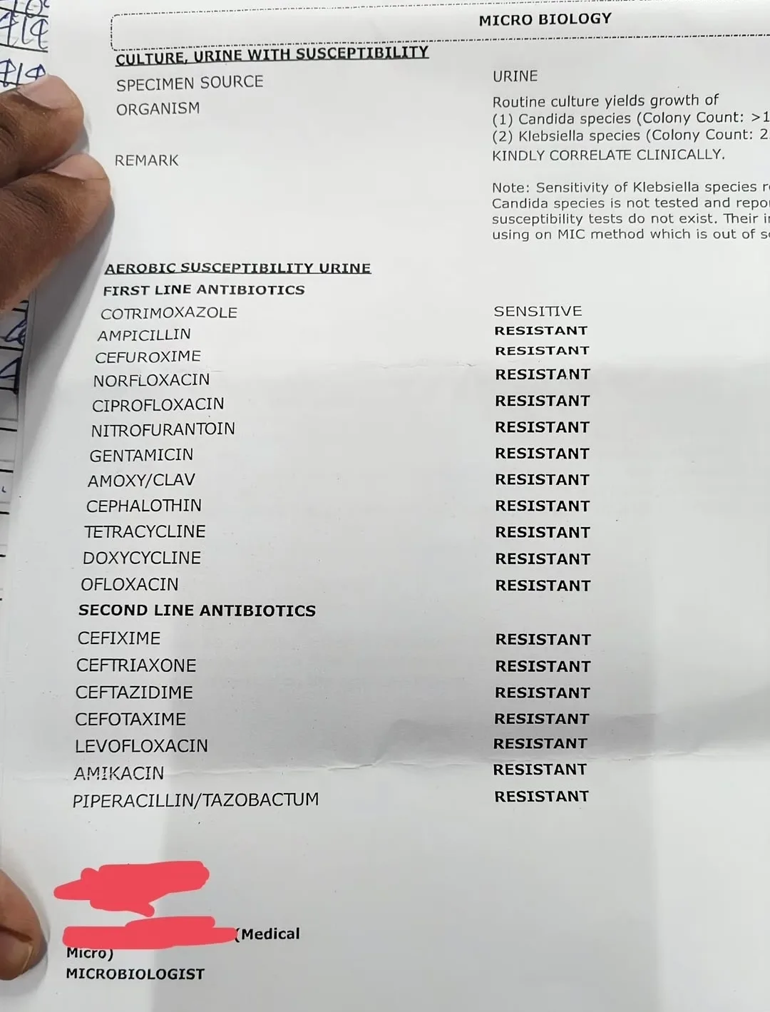 Вот вам и бабушкин антибиотик
