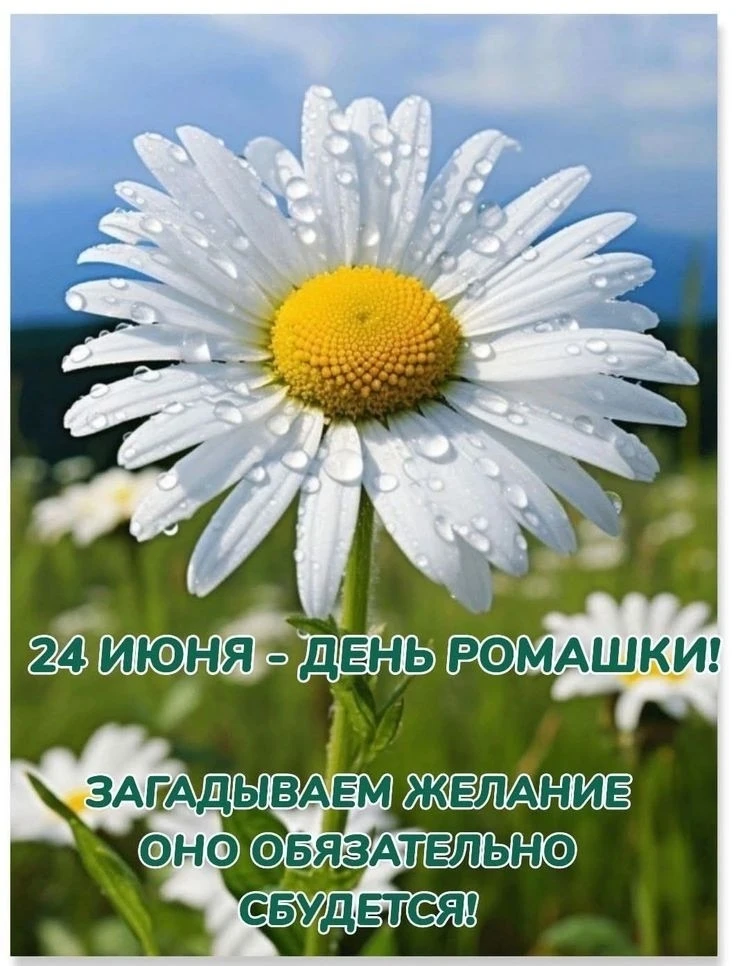24 июня - День ромашки

НАШИ КАНАЛЫ:
Идеи для дачи
Моя любимая дача
Дачные заготовки
Открытки на пра