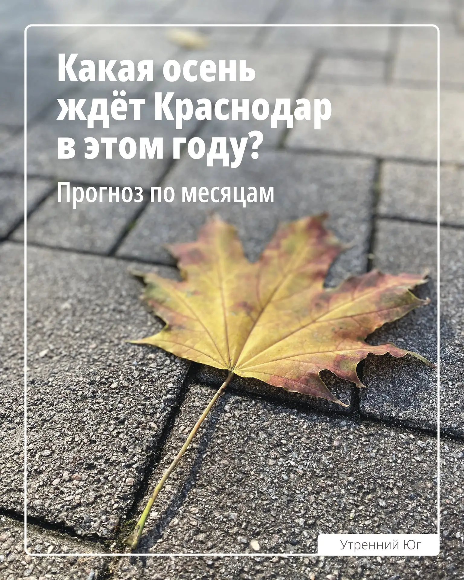 Когда в Краснодар придет настоящая осень?🍁