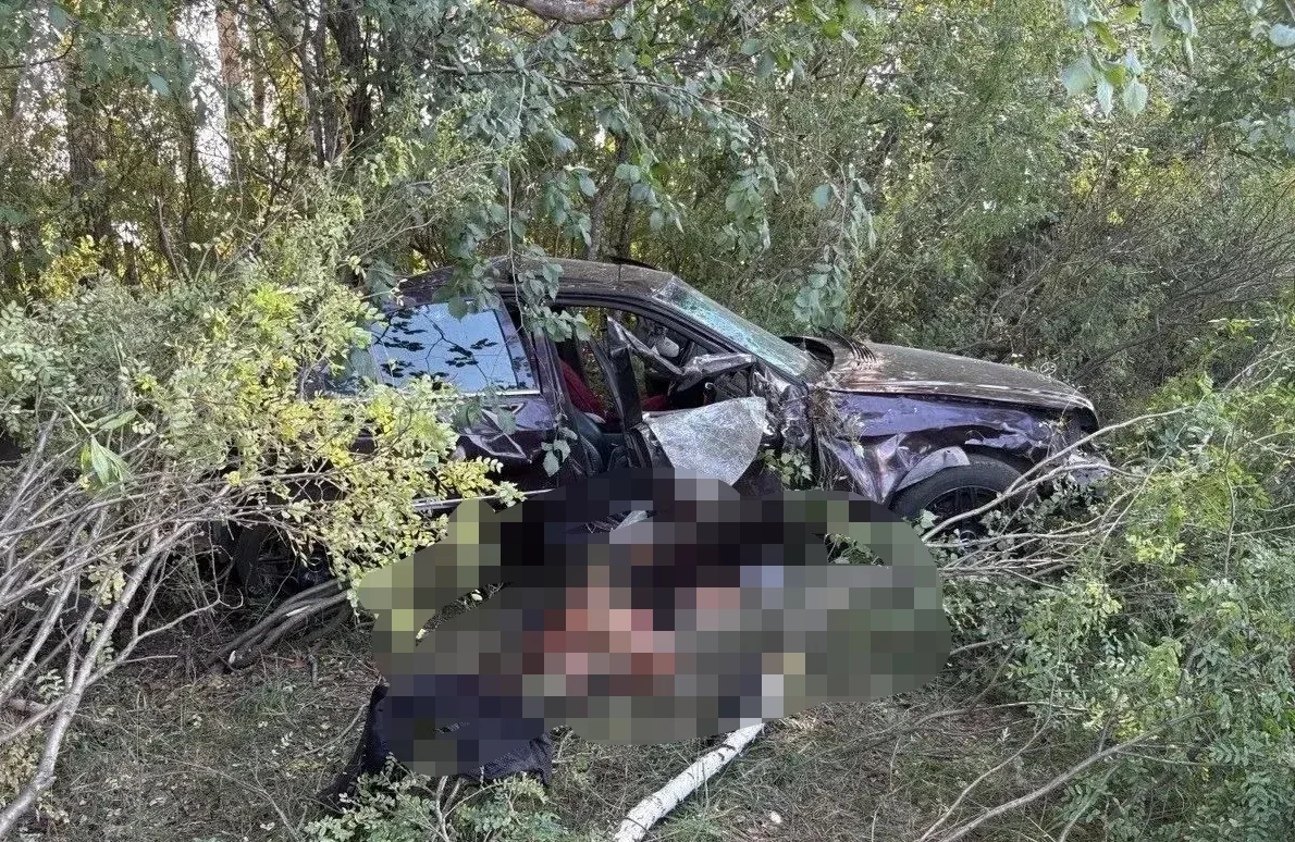 В Черепановском районе произошло ДТП с гибелью