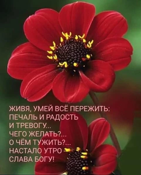 Доброе утро. Хорошего дня и отличного настроения!