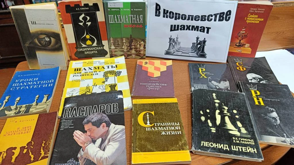 Друзья, абонемент МКУК «БИЦ» превратился в настоящее поле битвы умов! Мы открыли новую книжную выста