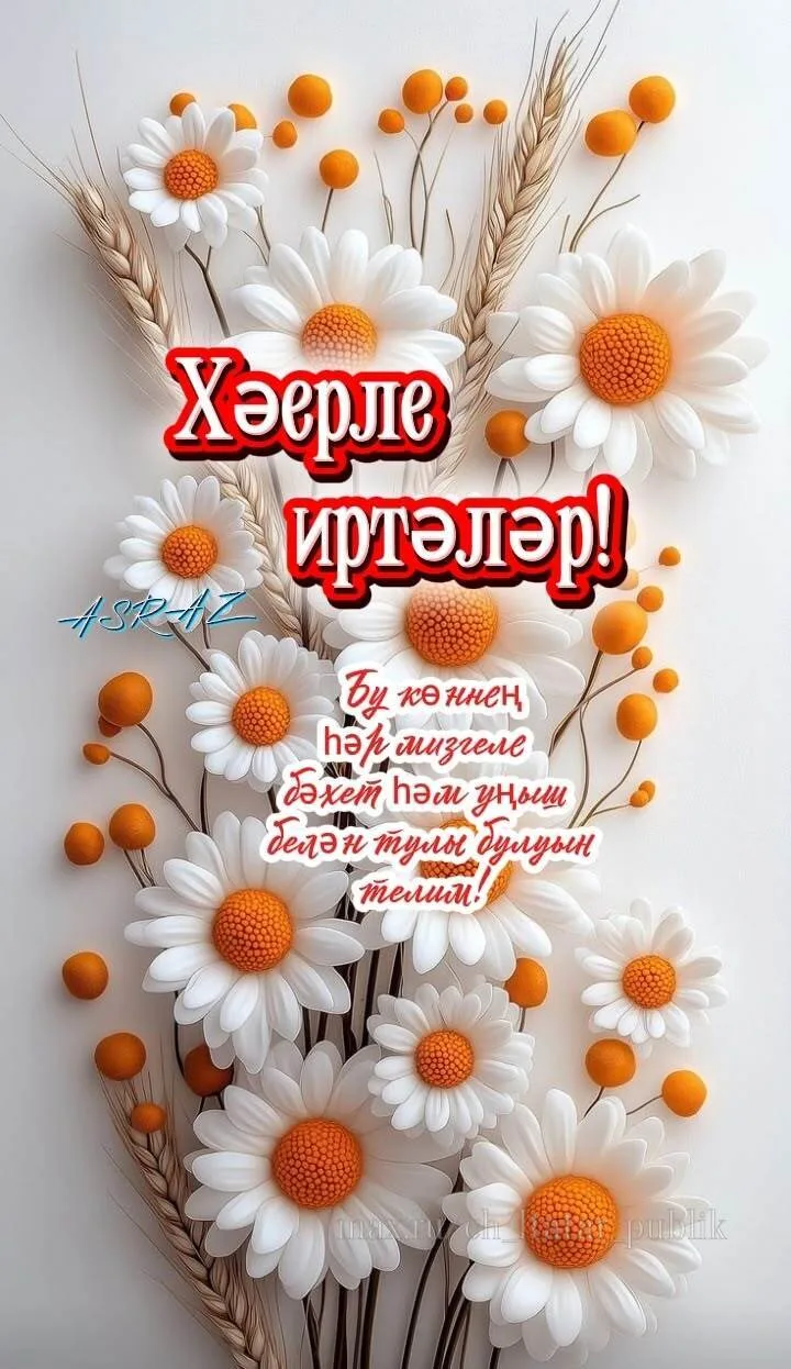 Хәерле иртә🌷