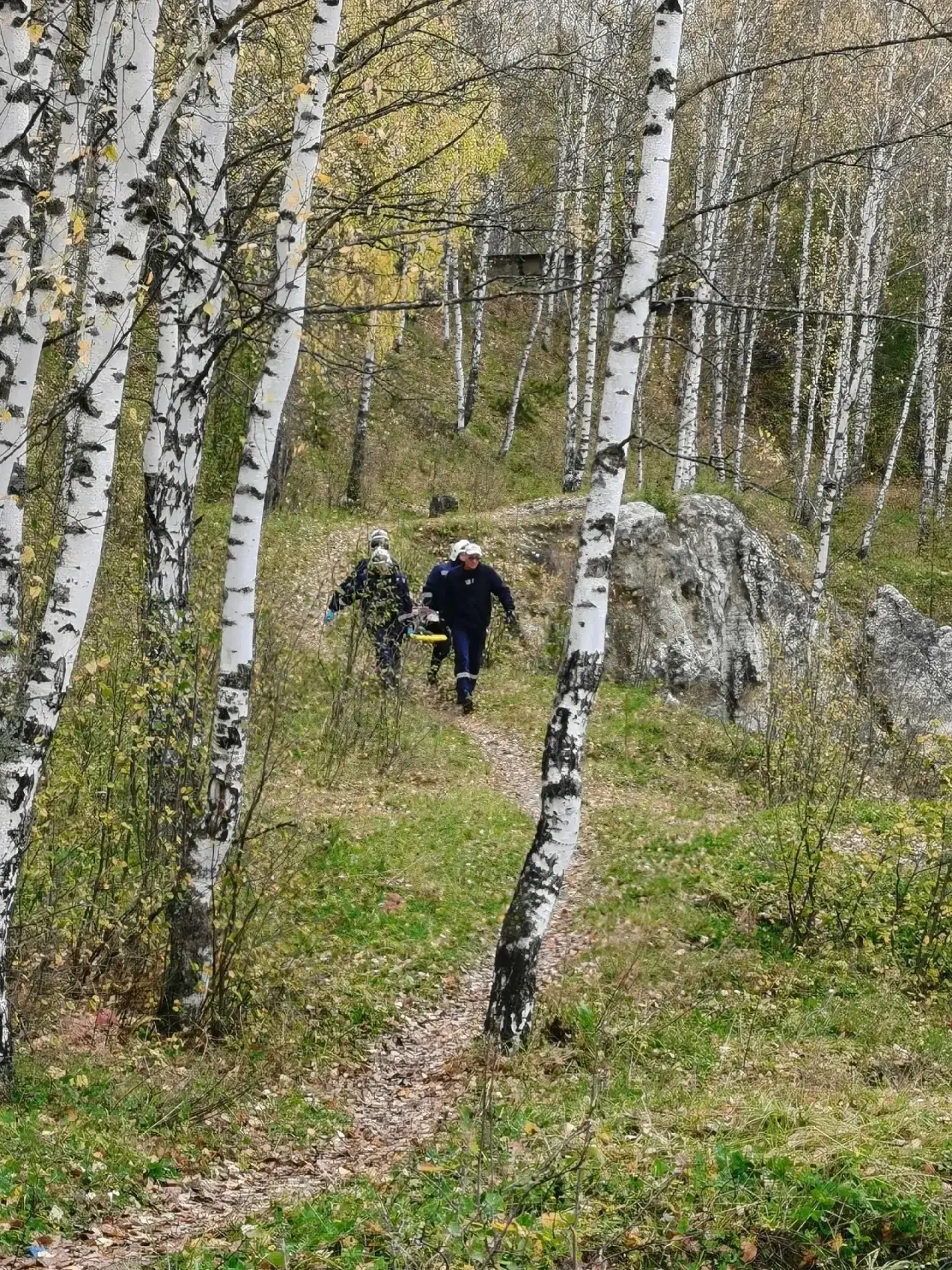 😱 Ребенок сорвался со скалы в Прикамье