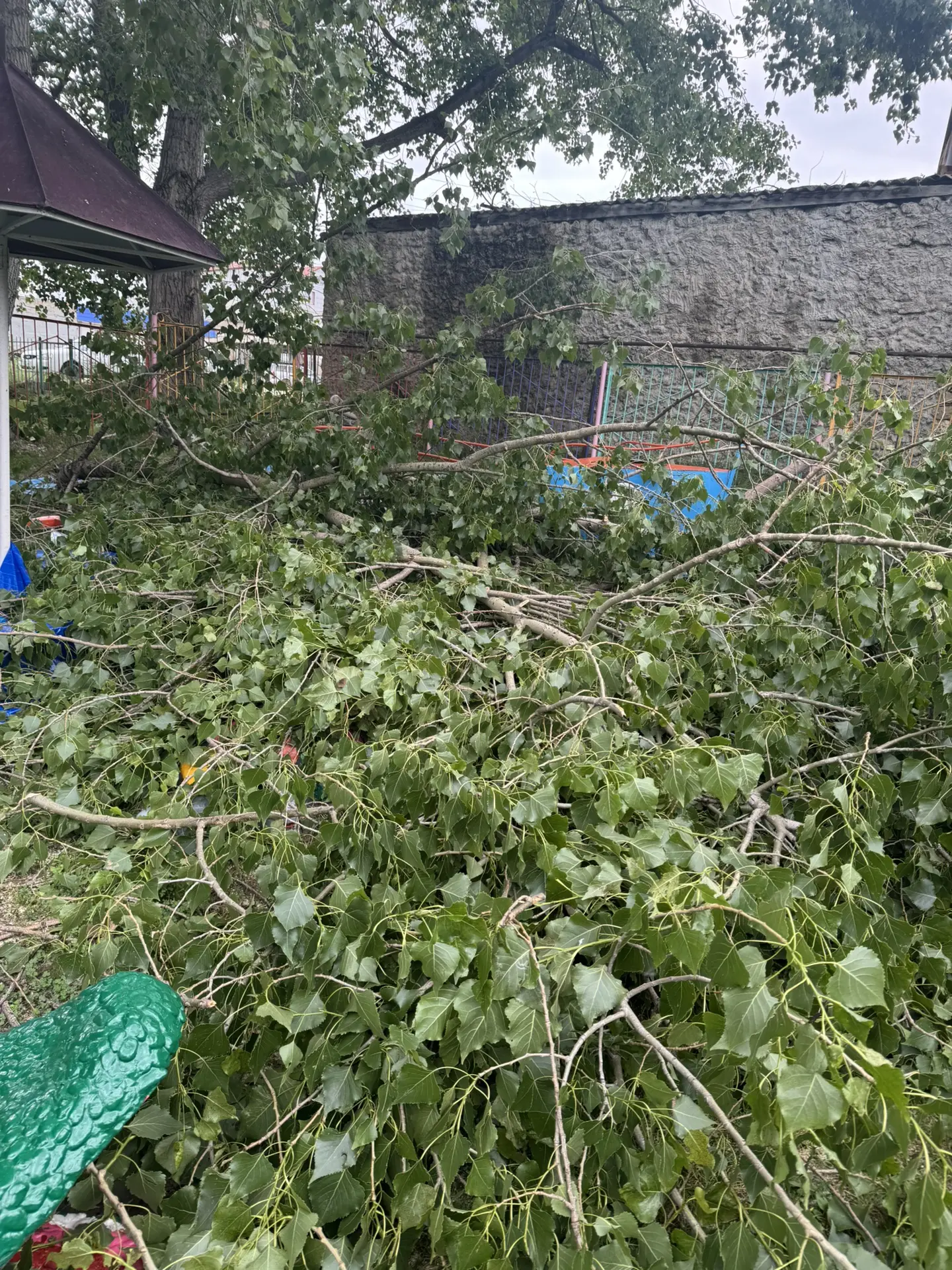 Вот в таком состоянии был сегодня наш двор после вчерашнего порывистого дождя и ветра ,...
