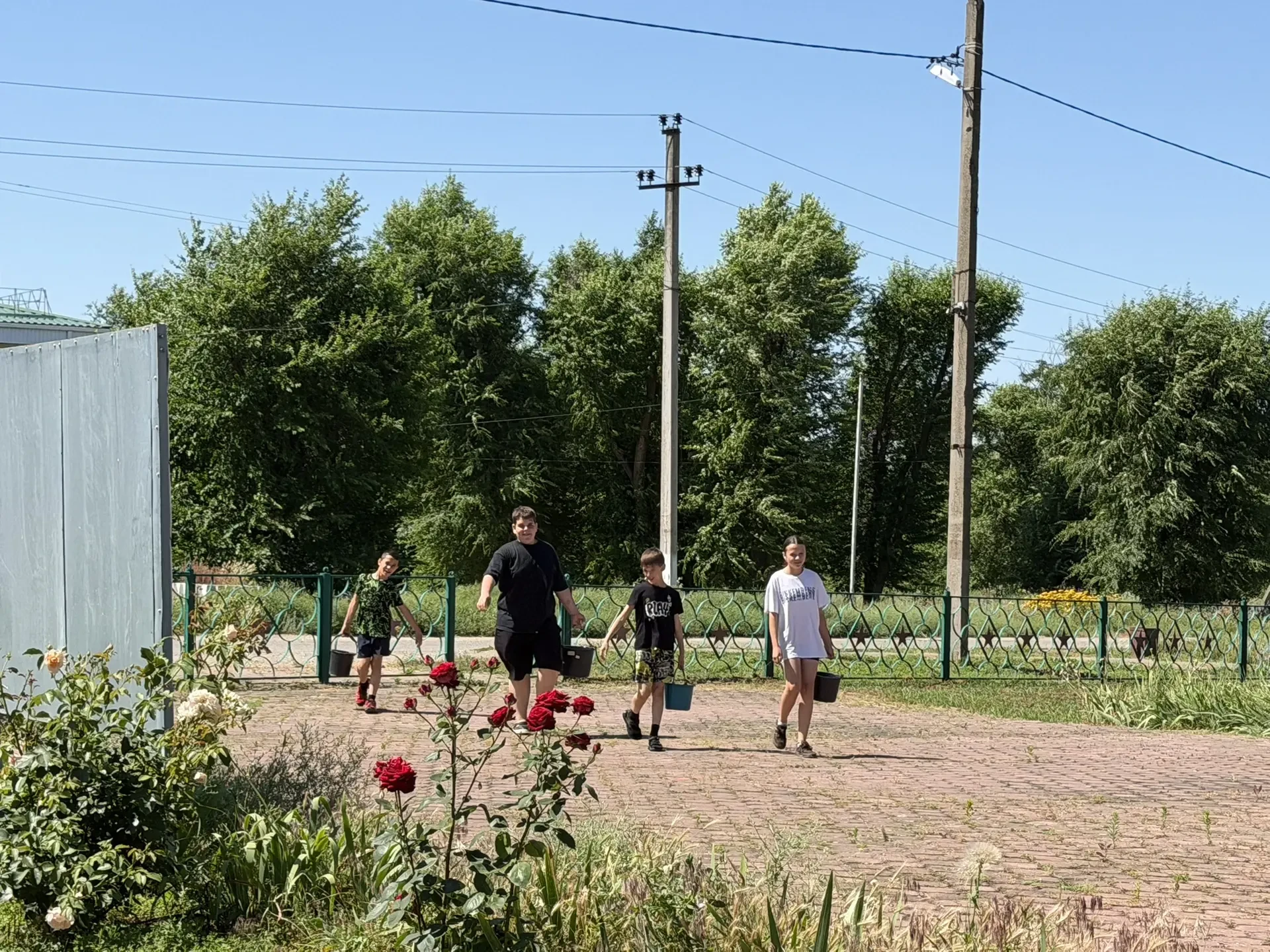 🌳 «Сад памяти» — это международная акция, направленная на сохранение исторической памяти о защитник