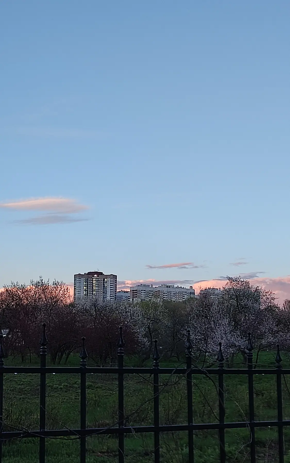 Какой красивый закат поймали во время вечерней прогулки вчера. Если бы у городов были б...