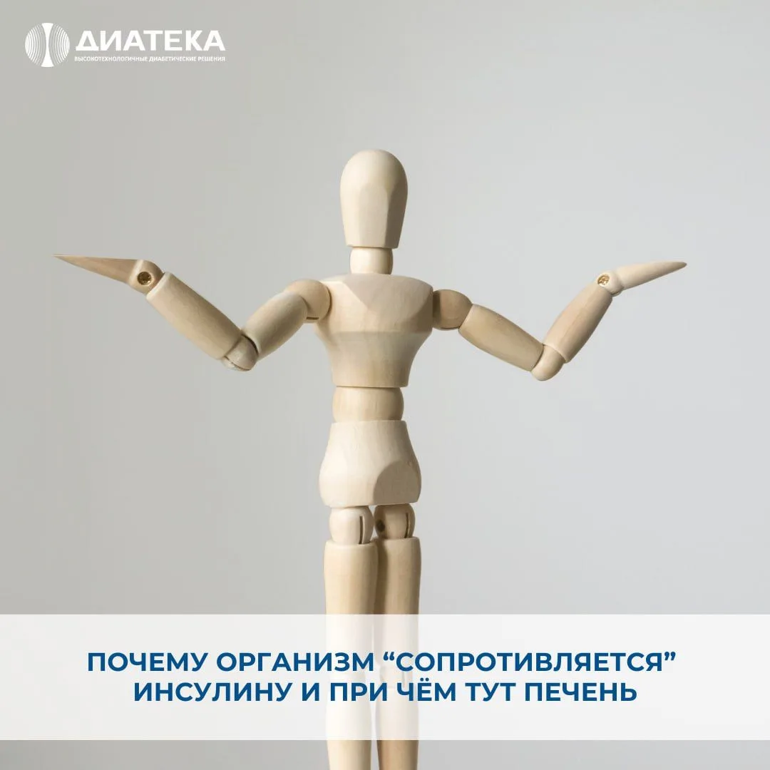 ПОЧЕМУ ОРГАНИЗМ "СОПРОТИВЛЯЕТСЯ" ИНСУЛИНУ И ПРИ ЧЁМ ТУТ ПЕЧЕНЬ