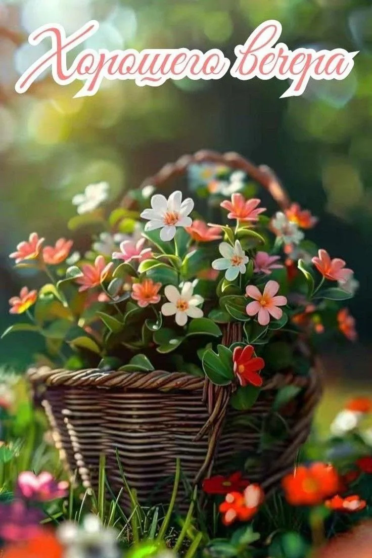 ❤️🌿🌸❤️🌿🌸❤️🌿🌸

Пусть будет благословленной твоя ночь и Бог убережет тебя от плохих событий, зас