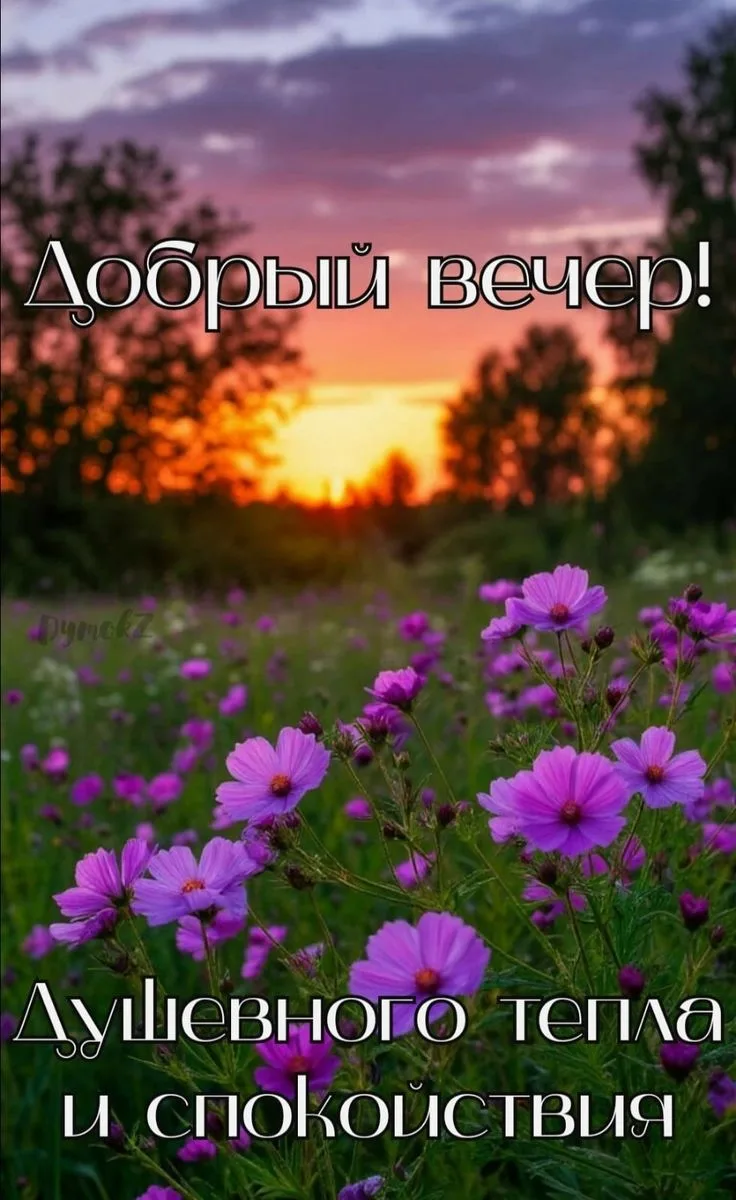 Спокойной ночи!
