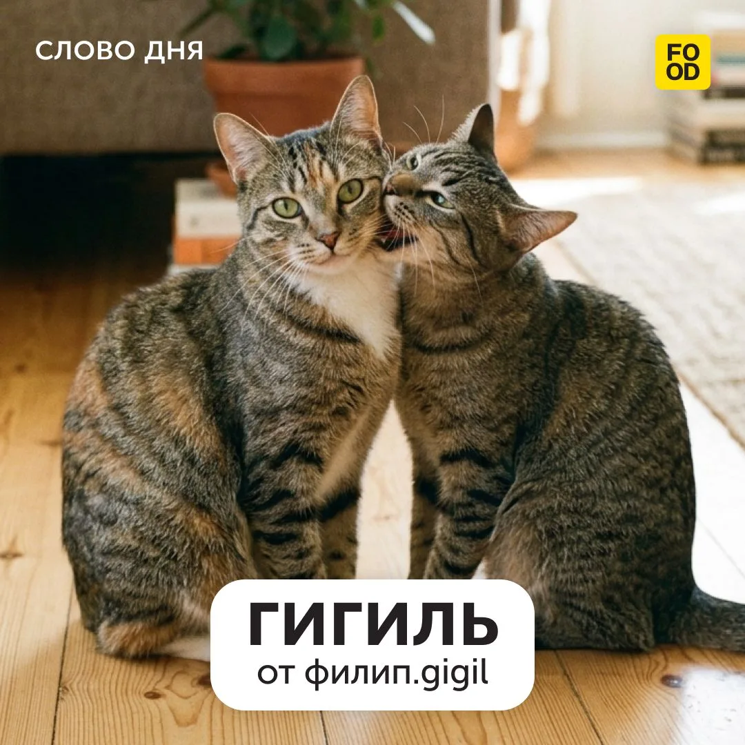 А у вас бывает такое чувство, что вы видите что-то настолько милое, что аж хочется ущип...