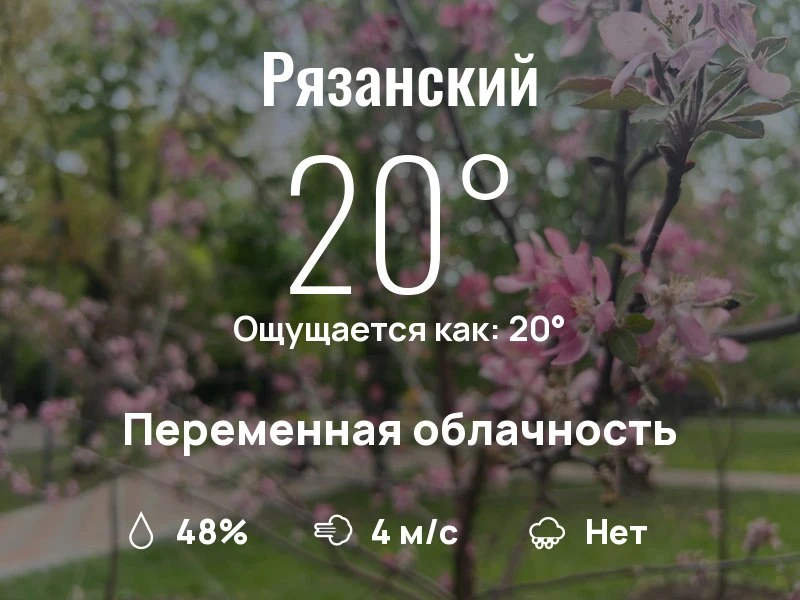 Что с погодой в Рязанском?