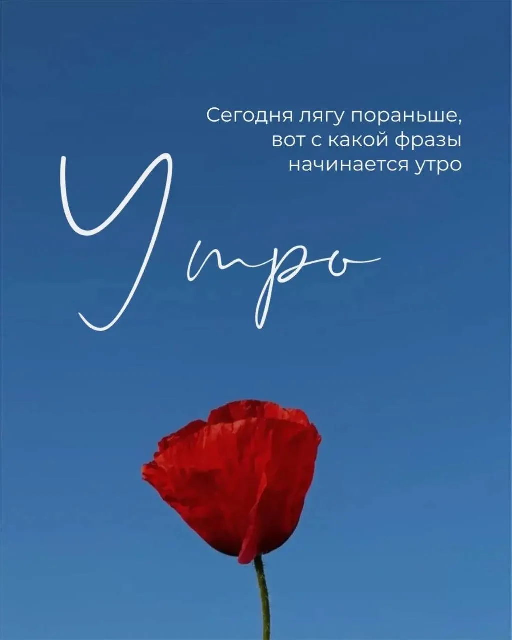Понедельник. Все не просто, но за то интересно 😎